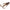 Creatura Fishup Baffi Fly, 3.8cm, Green Pumpkin Brown Red And Purple, 10buc/pac