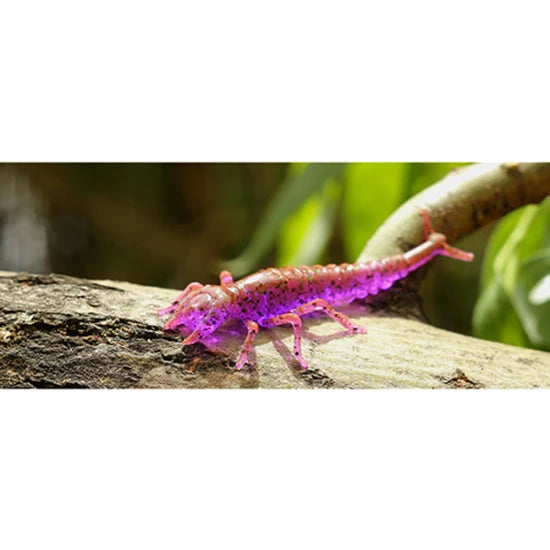 Creatura Fishup Diving Bug, 5cm, Flo Chartreuse Green, 8buc/pac