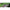 Creatura Fishup Flit, 4.1cm, Chartreuse/black, 10buc/pac