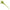 Creatura Fishup Flit, 4.1cm, Watermelon Seed, 10buc/pac