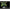 Creatura Fishup Real Craw, 3.8cm, Lox Green And Black, 10buc/pac