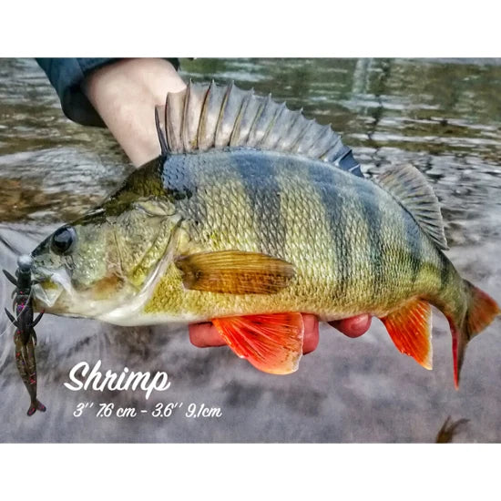 Creatura Fishup Shrimp 7.6cm, Flo Chart Green, 9buc/pac