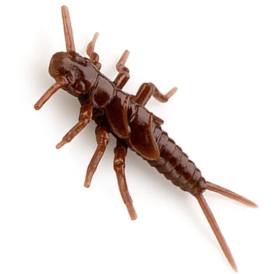 Creatura Fishup Stonefly, 2.1cm, Chaos, 12buc/pac
