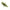 Creatura Fishup Stonefly, 2.1cm, Motor Oil Pepper, 12buc/pac
