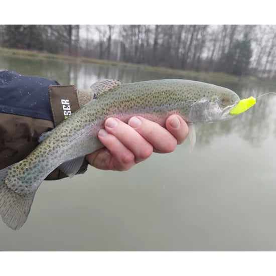 Creatura Fishup Trout Series Maya Crawfish 3.5cm, 2.2g, Coffee Milk Light Olive, 8buc/pac