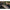 Creatura Fishup Trout Series Pupa Crawfish, 3.2cm, Cheese, 10buc/pac
