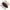 Creatura Illex Woodlouse, Cherry Coke, 3cm, 6buc/pac