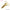 Creatura Lucky John Soft Lure Hogy Hog, 2cm, Culoare Pa03, 12buc/pac