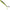 Creatura Lucky John W-worm, 6cm, Culoare T79, 8buc/pac