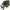 Cuie Cort NGT Platform Bivvy Pegs, 10buc/set