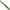 Curatator Legume Victorinox, Plastic, Verde