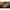 Cutie Guru Pentru Momeala Fusion 450 36x11x10cm