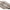 Cutie Hangere Korda Stowaway Case, 2 Rod
