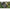 Cutie Korum Tackle Blox - Fully Loaded, 19.6 X 25 X 9.1cm