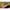Cutie Momeala Korum Maggot Bait Tub, 1pt/0.6l, Kaki