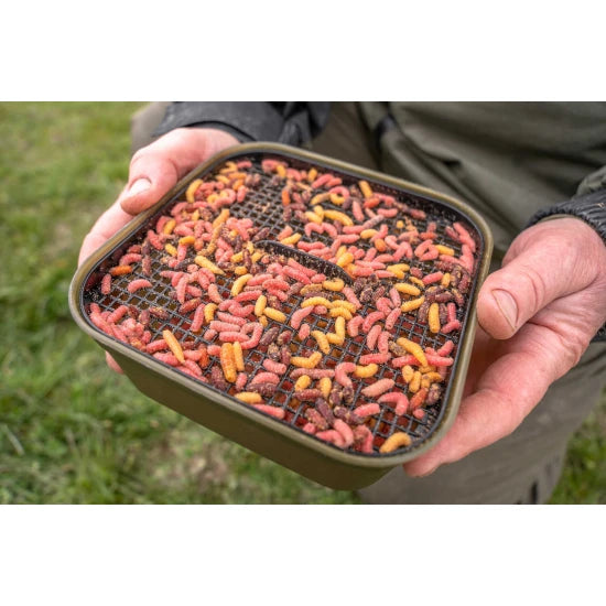 Cutie Momeala Korum Maggot Tub And Riddle 2pt/1.2l