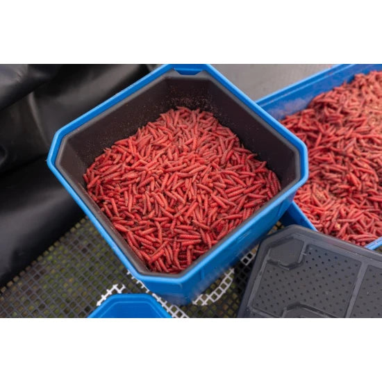 Cutie Preston 4pt Bait Tub, Blue-black