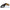 DEGETAR PIELE CARP FINDER