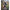 Degetar Spomb Finger Stall, Black-red