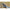 Dispozitiv Pt. Legat Riguri Stonfo Feeder Calibrone Small, Pt. Carlige Nr.28 - Nr.10