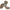 Elice Allroundmarin Propeller Aluminiu, 3x9 1/4x10, 1buc/pac