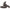 Elice Haswing Osapian 55lb And Cayman B 55lb Propeller