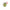 Fir Carp Zoom Predator-z Classic Kevlar Leader 20m 0.24mm