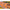 FIR GURU N-GAUGE 0,19MM/7LB/100M