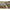 Fir Inaintas Korda Monofilament Xt Snag Leader Subline Brown 0.55mm 22.67kg 100m