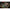 Fir Korda Dark Matter Tungsten Coated Verde 25lbs/10m