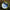 Fir Pb Silk Ray Silk Ray 45lb-leadcore Fara Plumb 45lb 10m Vegetatie