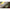 Fir Textil Korda Marker Braid Verde 016mm/9.1kg/300m
