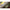 FIR TEXTIL KORDA MARKER BRAID VERDE 016MM/9.1KG/300M