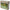 FIR TEXTIL PROLOGIC LEADER SOFT CORE CAMO 10M/30LBS