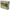 FIR TEXTIL PROLOGIC REPTILIAN V2 COATED CAMO 15M/35LBS