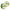 Fir ASSO Tapered Mainline Low Vis Green 0.30mm 0.50mm