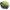 Fir Cormoran Textil Corastrong 8braid, Green,  025mm/6,3kg/300m