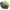 Fir Cormoran Textil CoraStrong 8Braid, Green,  035MM/37,5KG/135M