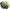 Fir Cormoran Textil CoraStrong 8Braid, Green, 035MM/37,5KG/300M
