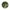 Fir Dragon Giant Cat 8X Braid 300m 120lb  verde