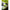 Fir Elastic Korum Marka Flex, Green, 5m