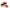 Fir Energo Team Excalibur Carp Fluo Orange 300m 0.35mm
