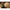 Fir Fluorocarbon Korda Iq Hooklink 20m 25lbs
