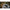Fir Inaintas Conic Exocet Pro Double Tapered Mainline 0.30mm-0.50mm, 300m
