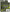 Fir Inaintas DAIWA Double Tapered Mono, Olive Green, 6.35kg-14Lbs, 0.30mm, 320m