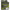 Fir Inaintas Daiwa Double Tapered Mono, Olive Green, 7.25kg-16lbs, 0.33mm, 320m