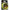 Fir Monifilament Prologic Xd Distance Mono Hi-viz, Yellow, 1000m, 0.25mm, 4.8kg