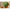Fir Monofilament Carp Expert 3d, Camo, 600m, 0.20mm