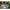 Fir Monofilament Carp Spirit Velocity Xs Camo, 0.40mm, 11.80kg