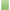 Fir Monofilament Carp Spirit Celt-2x, Verde Fluo, 0.285mm, 6.45kg, 1400m